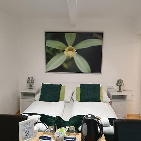 Cityhotel Junger Fuchs Salisburgo Esterno foto